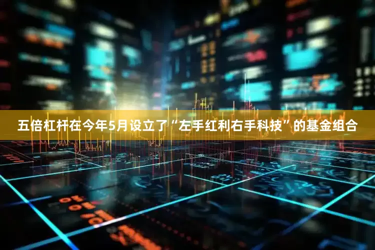 五倍杠杆在今年5月设立了“左手红利右手科技”的基金组合
