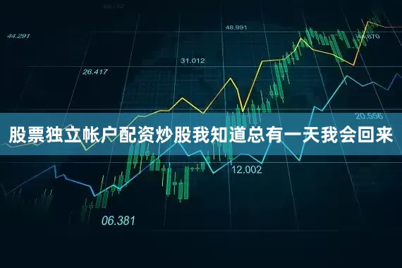 股票独立帐户配资炒股我知道总有一天我会回来
