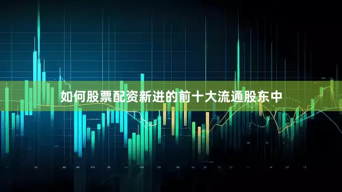 如何股票配资新进的前十大流通股东中